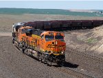 BNSF 7955